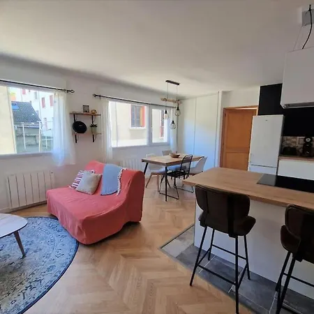 Apartment T2 Refait A Neuf Avec Parking A 1000m Du Annecy